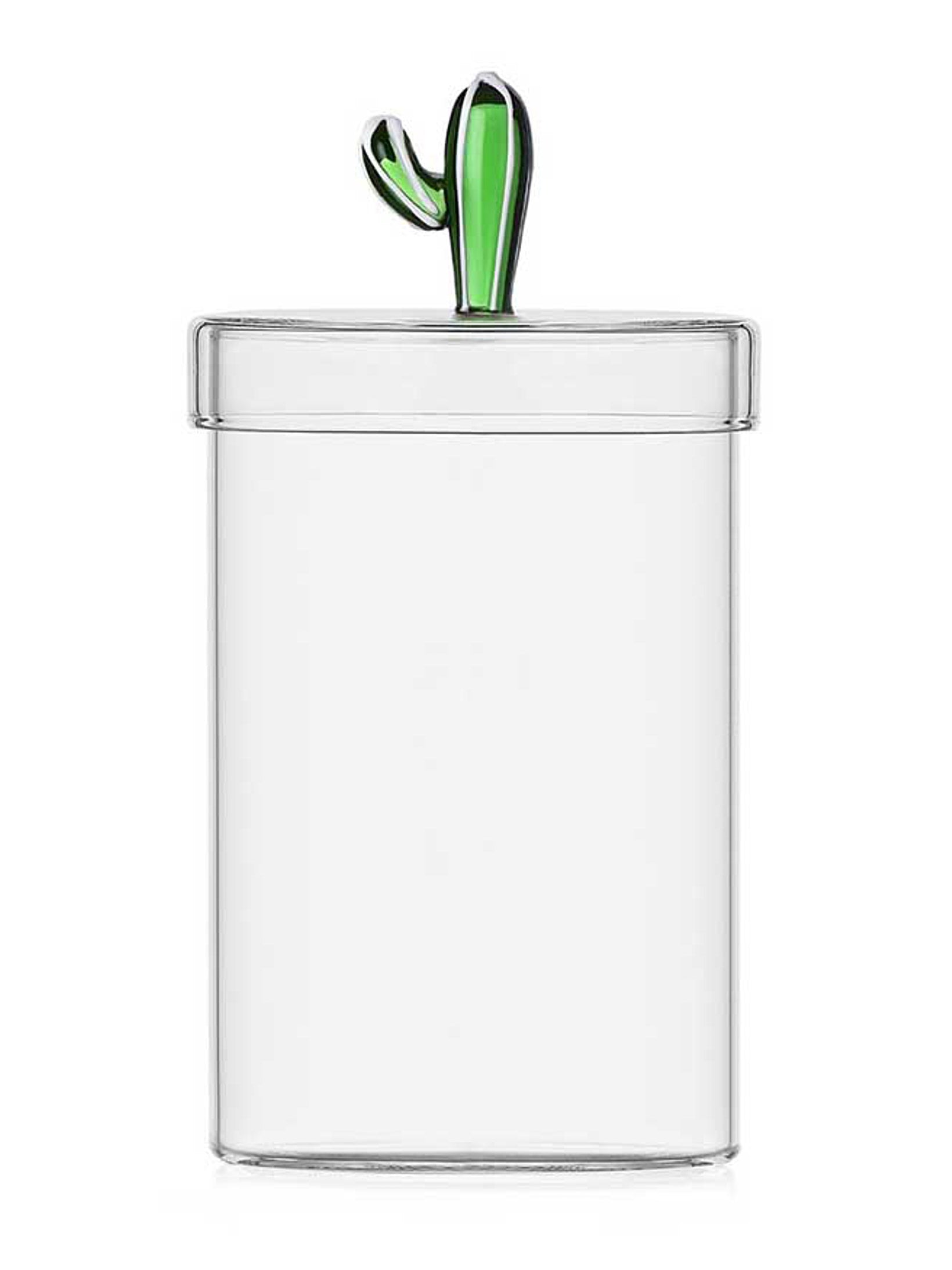 Green Cactus Box